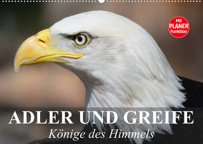 Adler und Greife. Könige des Himmels (Wandkalender 2023 DIN A2 quer) von Stanzer,  Elisabeth