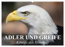 Adler und Greife – Könige des Himmels (Wandkalender 2024 DIN A2 quer), CALVENDO Monatskalender von Stanzer,  Elisabeth