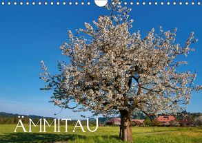 Ämmitau (Wandkalender 2019 DIN A4 quer) von Müller Fotografin,  Beatrice