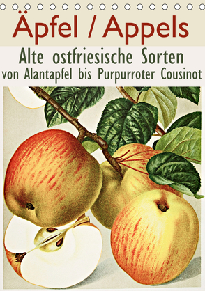 Äpfel/Appels. Alte ostfriesiache Sorten (Tischkalender 2019 DIN A5 hoch) von Galle,  Jost