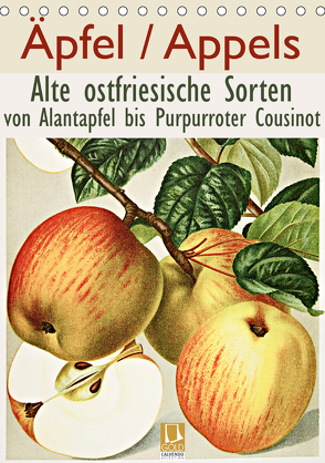 Äpfel/Appels. Alte ostfriesische Sorten (Tischkalender 2020 DIN A5 hoch) von Galle,  Jost