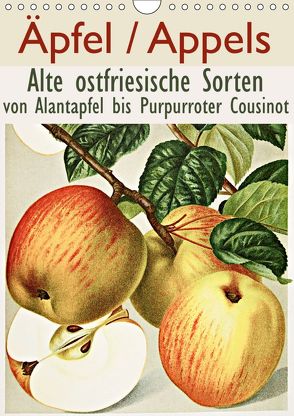 Äpfel/Appels. Alte ostfriesiache Sorten (Wandkalender 2019 DIN A4 hoch) von Galle,  Jost