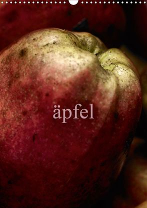 äpfel (Wandkalender 2020 DIN A3 hoch) von morgenstern,  arne