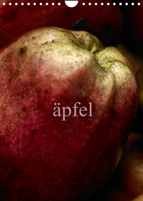 äpfel (Wandkalender 2022 DIN A4 hoch) von morgenstern,  arne