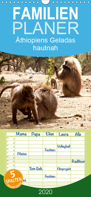 Äthiopiens Geladas hautnah – Familienplaner hoch (Wandkalender 2020 , 21 cm x 45 cm, hoch) von Krause,  Johanna