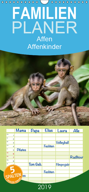 Affen – Affenkinder – Familienplaner hoch (Wandkalender 2019 , 21 cm x 45 cm, hoch) von Roder,  Peter