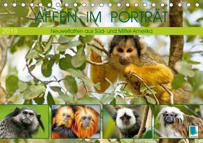 Affen im Porträt: Mittel- und Süd-Amerika (Tischkalender 2019 DIN A5 quer) von CALVENDO