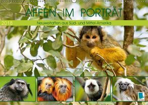 Affen im Porträt: Mittel- und Süd-Amerika (Wandkalender 2018 DIN A2 quer) von CALVENDO