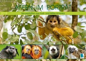 Affen im Porträt: Mittel- und Süd-Amerika (Wandkalender 2018 DIN A3 quer) von CALVENDO