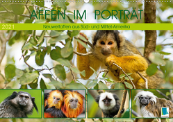 Affen im Porträt: Mittel- und Süd-Amerika (Wandkalender 2021 DIN A2 quer) von CALVENDO