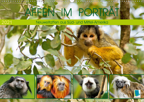 Affen im Porträt: Mittel- und Süd-Amerika (Wandkalender 2021 DIN A2 quer) von CALVENDO