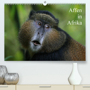 Affen in Afrika (Premium, hochwertiger DIN A2 Wandkalender 2021, Kunstdruck in Hochglanz) von Herzog,  Michael