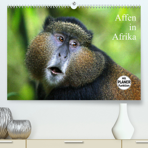 Affen in Afrika (Premium, hochwertiger DIN A2 Wandkalender 2022, Kunstdruck in Hochglanz) von Herzog,  Michael