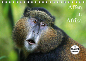 Affen in Afrika (Tischkalender 2021 DIN A5 quer) von Herzog,  Michael