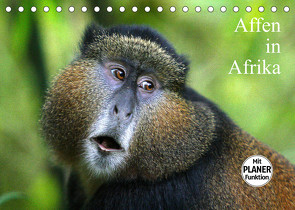 Affen in Afrika (Tischkalender 2023 DIN A5 quer) von Herzog,  Michael