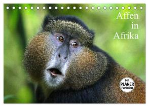 Affen in Afrika (Tischkalender 2024 DIN A5 quer), CALVENDO Monatskalender von Herzog,  Michael
