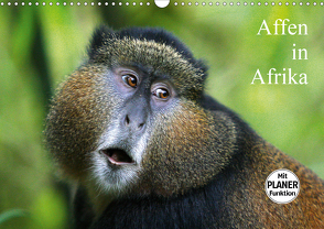 Affen in Afrika (Wandkalender 2021 DIN A3 quer) von Herzog,  Michael