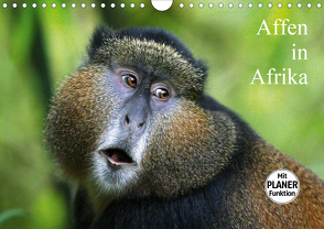 Affen in Afrika (Wandkalender 2021 DIN A4 quer) von Herzog,  Michael