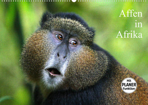 Affen in Afrika (Wandkalender 2022 DIN A2 quer) von Herzog,  Michael