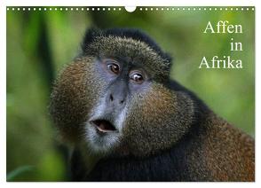 Affen in Afrika (Wandkalender 2024 DIN A3 quer), CALVENDO Monatskalender von Herzog,  Michael