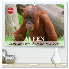 Affen – Individuen mit Charakter und Seele (hochwertiger Premium Wandkalender 2024 DIN A2 quer), Kunstdruck in Hochglanz von Stanzer,  Elisabeth
