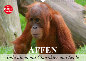 Affen – Individuen mit Charakter und Seele (Wandkalender 2020 DIN A3 quer) von Stanzer,  Elisabeth