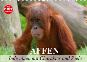 Affen – Individuen mit Charakter und Seele (Wandkalender 2022 DIN A2 quer) von Stanzer,  Elisabeth