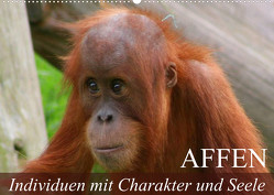 Affen – Individuen mit Charakter und Seele (Wandkalender 2023 DIN A2 quer) von Stanzer,  Elisabeth