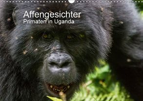 Affengesichter – Primaten in Uganda (Wandkalender 2019 DIN A3 quer) von Helmut Gulbins,  Dr.