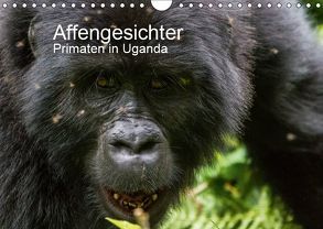 Affengesichter – Primaten in Uganda (Wandkalender 2019 DIN A4 quer) von Helmut Gulbins,  Dr.