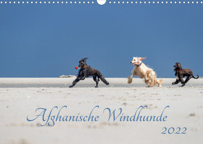 AFGHANISCHE WINDHUNDE 2022 (Wandkalender 2022 DIN A3 quer) von Mirsberger annettmirsberger.de,  Annett