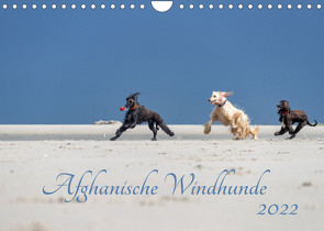 AFGHANISCHE WINDHUNDE 2022 (Wandkalender 2022 DIN A4 quer) von Mirsberger annettmirsberger.de,  Annett