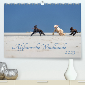 AFGHANISCHE WINDHUNDE 2023 (Premium, hochwertiger DIN A2 Wandkalender 2023, Kunstdruck in Hochglanz) von Mirsberger annettmirsberger.de,  Annett