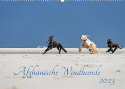 AFGHANISCHE WINDHUNDE 2023 (Wandkalender 2023 DIN A2 quer) von Mirsberger annettmirsberger.de,  Annett