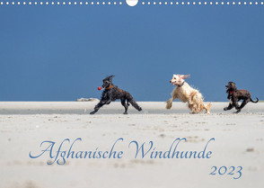 AFGHANISCHE WINDHUNDE 2023 (Wandkalender 2023 DIN A3 quer) von Mirsberger annettmirsberger.de,  Annett