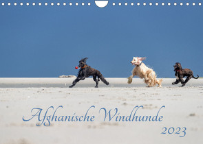 AFGHANISCHE WINDHUNDE 2023 (Wandkalender 2023 DIN A4 quer) von Mirsberger annettmirsberger.de,  Annett
