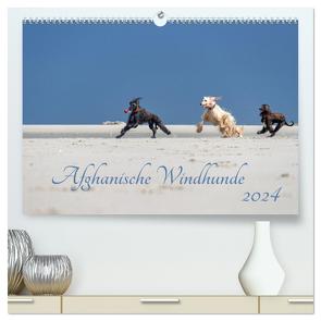 AFGHANISCHE WINDHUNDE 2024 (hochwertiger Premium Wandkalender 2024 DIN A2 quer), Kunstdruck in Hochglanz von Mirsberger annettmirsberger.de,  Annett