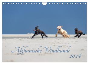 AFGHANISCHE WINDHUNDE 2024 (Wandkalender 2024 DIN A4 quer), CALVENDO Monatskalender von Mirsberger annettmirsberger.de,  Annett