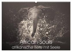African Souls – afrikanische Tiere mit Seele (Wandkalender 2024 DIN A2 quer), CALVENDO Monatskalender von Kulpa,  Manuela