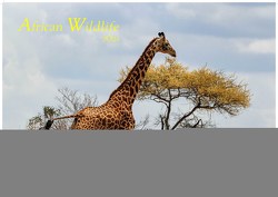 African Wildlife 2024 L 35x50cm