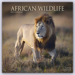 African Wildlife – Afrikanische Tierwelt 2023 – 16-Monatskalender