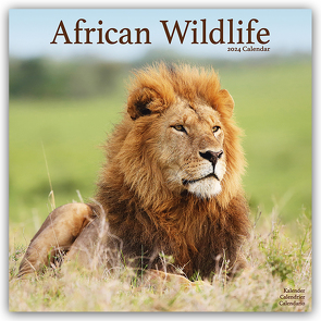 African Wildlife – Afrikanische Tierwelt 2024 – 16-Monatskalender