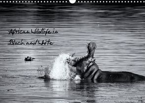 African Wildlife in Black & White (Posterbuch DIN A3 quer) von & Holger Karius,  Kirsten