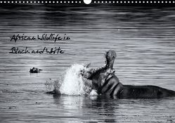 African Wildlife in Black & White (Posterbuch DIN A4 quer) von & Holger Karius,  Kirsten