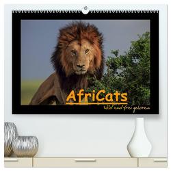 AfriCats (hochwertiger Premium Wandkalender 2024 DIN A2 quer), Kunstdruck in Hochglanz von Pieta,  Harald