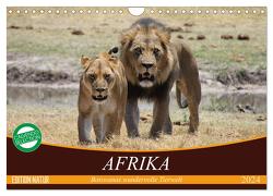 Afrika. Botswanas wundervolle Tierwelt (Wandkalender 2024 DIN A4 quer), CALVENDO Monatskalender von Stanzer,  Elisabeth