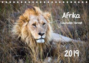 Afrika – Faszination Tierwelt (Tischkalender 2019 DIN A5 quer) von Bentlage,  Horst