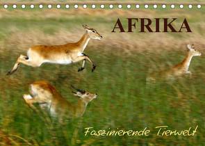 Afrika – Faszinierende Tierwelt (Tischkalender 2023 DIN A5 quer) von Haase,  Nadine