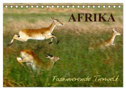 Afrika – Faszinierende Tierwelt (Tischkalender 2024 DIN A5 quer), CALVENDO Monatskalender von Haase,  Nadine