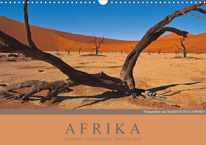 Afrika Impressionen. NAMIBIA – SÜDAFRIKA – BOTSWANA (Wandkalender 2021 DIN A3 quer) von Pavlowsky Photography,  Markus